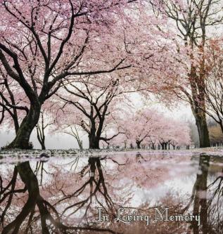 In Loving Memory Funeral Guest Book Celebration of Life Wake Loss Memorial Service Love Condolence Book Funeral Home Missing You Church Thoughts and In Memory Guest Book (Hardback)