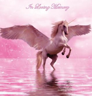 In Loving Memory Funeral Guest Book Celebration of Life Wake Loss Memorial Service Love Condolence Book Funeral Home Missing You Church Thoughts and In Memory Guest Book Pink (Hardback)