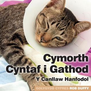 Cymorth Cyntaf i Gathod: Y Canllaw Hanfodol