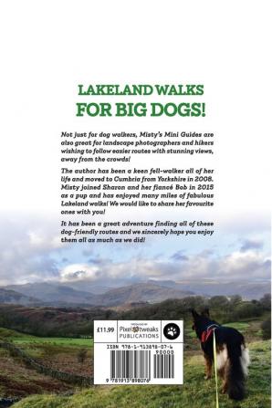 Misty's Mini Guides: Lakeland Walks for Big Dogs!: 3 (South Cumbria)