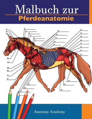 Malbuch zur Pferdeanatomie: Unglaublich detailliertes Arbeitsbuch zum Selbsttest der Pferdeanatomie Perfektes Geschenk für Tiermedizinstudenten Pferdeliebhaber und Erwachsene