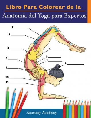 Libro Para Colorear de la Anatomía del Yoga para Expertos: 50+ Ejercicios de Colores con Posturas de Yoga Para Principiantes El Regalo Perfecto Para Instructores de Yoga Maestros y Aficionados