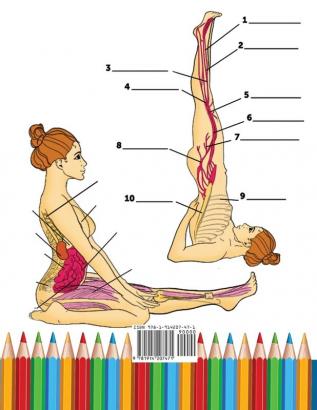 Libro Para Colorear de la Anatomía del Yoga Para Intermediarios: 50+ Ejercicios de Colores con Posturas de Yoga Para Intermediarios El Regalo Perfecto Para Instructores de Yoga Maestros y Aficionados