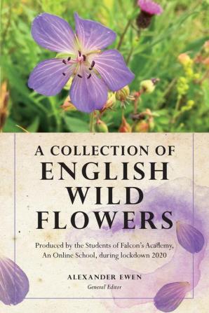 A Collection of English Wild Flowers