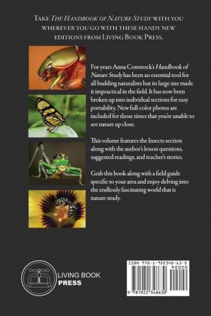 The Handbook Of Nature Study in Color - Insects