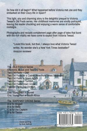 One Young Fool in Dorset: Prequel: 1 (Old Fools Prequel)