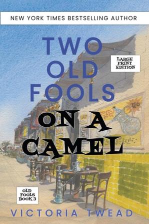 Two Old Fools on a Camel - LARGE PRINT: From Spain to Bahrain and back again: 3 (Old Fools Large Print)