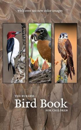 The Burgess Bird Book with new color images