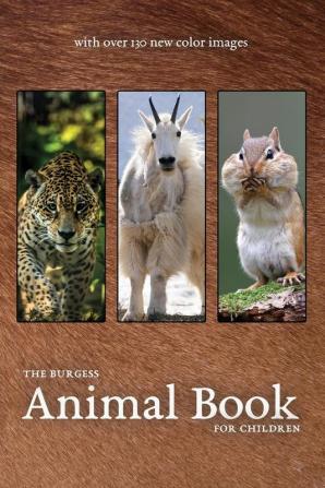 The Burgess Animal Book with new color images