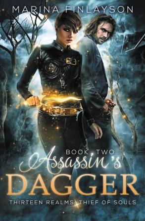 Assassin's Dagger: 2 (Thirteen Realms: Thief of Souls)