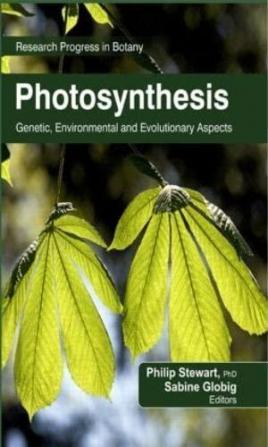 Photosynthesis