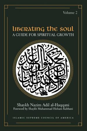 Liberating the Soul: A Guide for Spiritual Growth Volume Two: v. 2