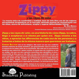 Zippy y Las Rayas de Valor