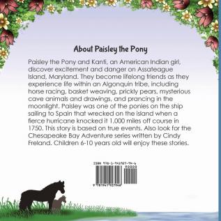 Paisley the Pony: An Assateague Island Adventure