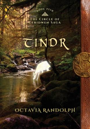 Tindr: Book Five of The Circle of Ceridwen Saga: 5