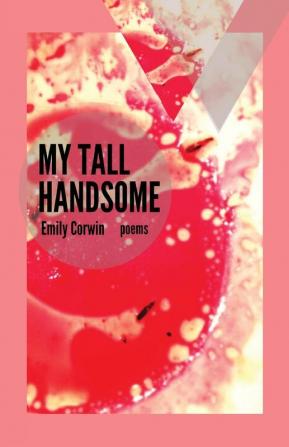 My Tall Handsome: 4 (Mineral Point Poetry)