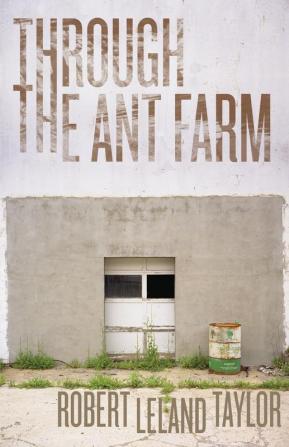 Through the Ant Farm