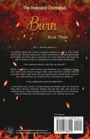 Burn: The Firebrand Chronicles Book Three: 3