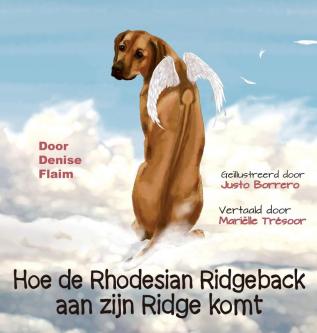 Hoe de Rhodesian Ridgeback aan zijn Ridge komt