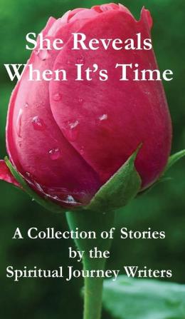 She Reveals When It's Time: A Collection of Stories by The Spiritual Journey Writers