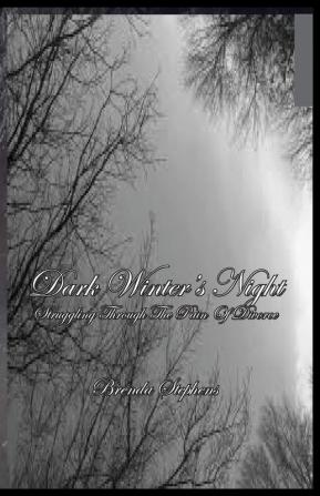 Dark Winter's Night: Struggling Through The Pain Of Divorce