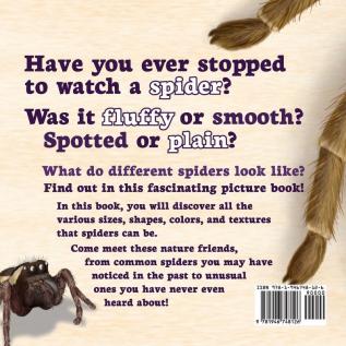 Can a Spider Be Fluffy?: 2 (Early Science)