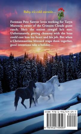 A Cowboy's Holiday: 12 (McGavin Brothers)