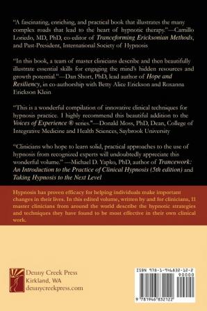 Handbook of Hypnotic Techniques Vol. 1: Favorite Methods of Master Clinicians: 4 (Voices of Experience)