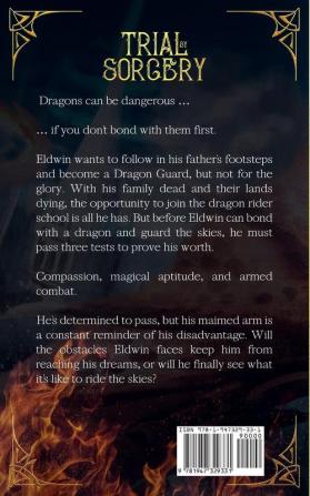 Trial by Sorcery: Dragon Riders of Osnen Book 1