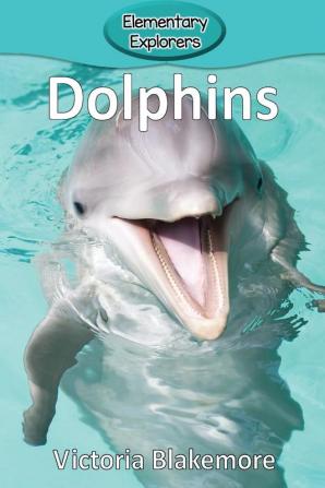 Dolphins: 31 (Elementary Explorers)