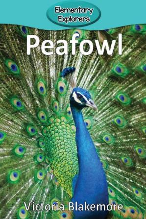 Peafowl: 36 (Elementary Explorers)