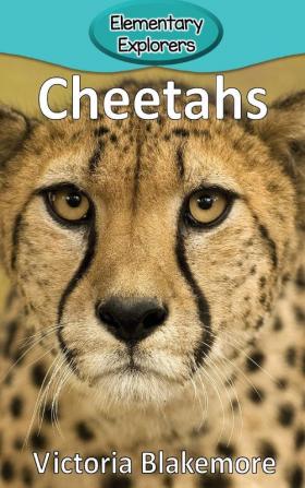 Cheetahs: 41 (Elementary Explorers)