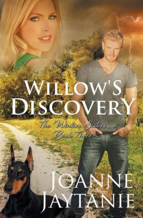 Willow's Discovery: 3 (Winters Sisters)