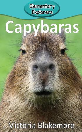 Capybaras