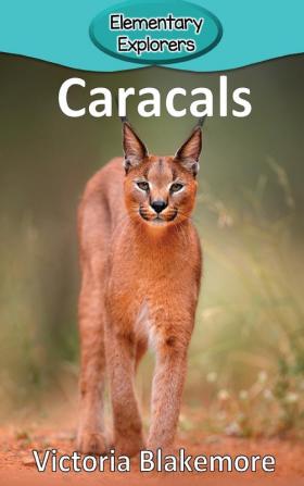 Caracals: 81 (Elementary Explorers)