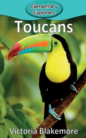 Toucans: 102 (Elementary Explorers)