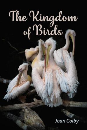 The Kingdom of Birds