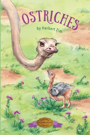 Ostriches: 1 (Nature Study Library)