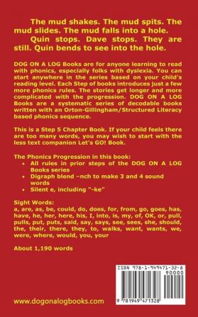 The Crane At The Cave Chapter Book: Sound-Out Phonics Books Help Developing Readers including Students with Dyslexia Learn to Read (Step 5 in a ... Books): 22 (Dog on a Log Chapter Books)