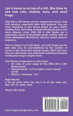 Ride A Bike: Sound-Out Phonics Books Help Developing Readers including Students with Dyslexia Learn to Read (Step 5 in a Systematic Series of Decodable Books): 23 (Dog on a Log Let's Go! Books)