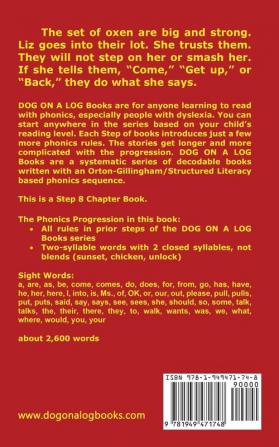 Anvil and Magnet Chapter Book: Sound-Out Phonics Books Help Developing Readers including Students with Dyslexia Learn to Read (Step 8 in a ... Books): 36 (Dog on a Log Chapter Books)