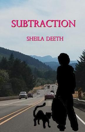 Subtraction: 3 (Mathemafiction)