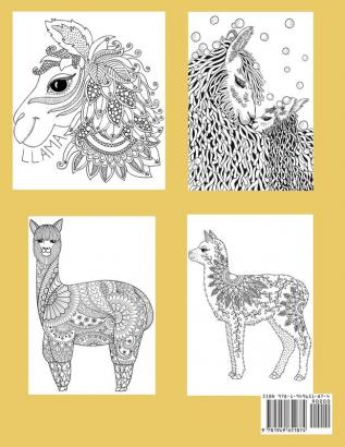 Llama Coloring Book