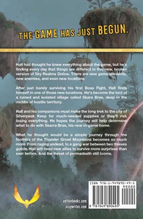 Silver Peak: Sky Realms Online Book Two