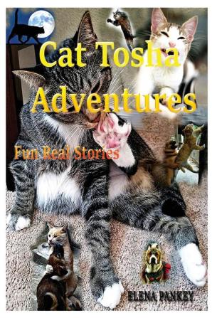 Cat Tosha Adventures