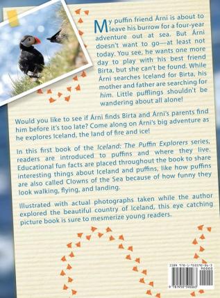 Puffins Take Flight: 1 (Iceland: The Puffin Explorers)