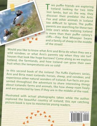 Puffins Off the Beaten Path: 2 (Iceland: The Puffin Explorers)