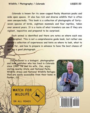 Finding Wildlife In Colorado: Birds Mammals and Reptiles