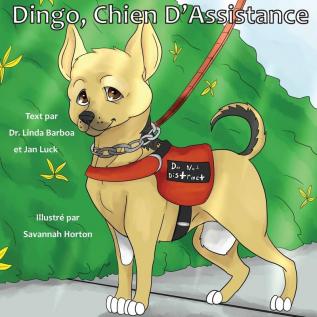 Dingo Chien D'Assistance