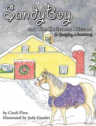 SandyBoy and the Christmas Blizzard (A SandyBoy Adventure): 2